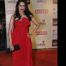 Celebs at 18th Annual Colors Screen Awards